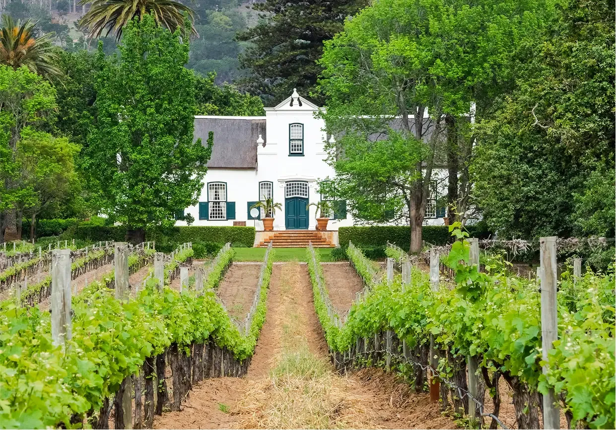 Cape Winelands private property investments