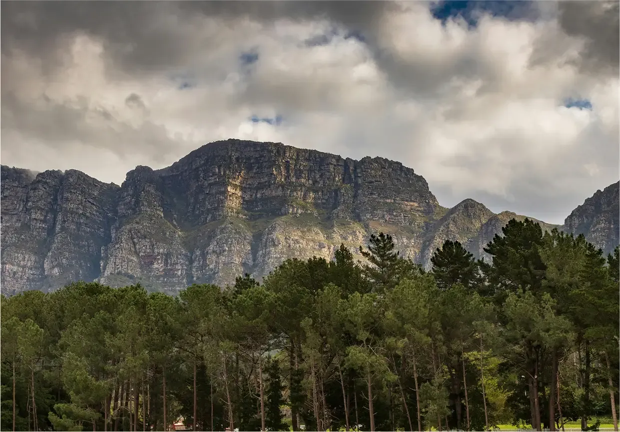 Southern Suburbs private property investments